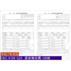 6109-G25 単票源泉徴収票（支払報告書なし）