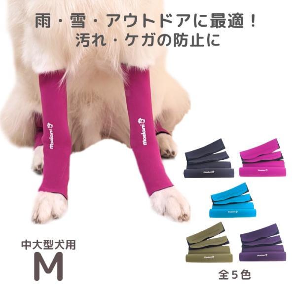 moelani M Newパーフェクトドッグ レッグカバー 足の保護 傷口保護 舐め防止 汚れ防止 ...