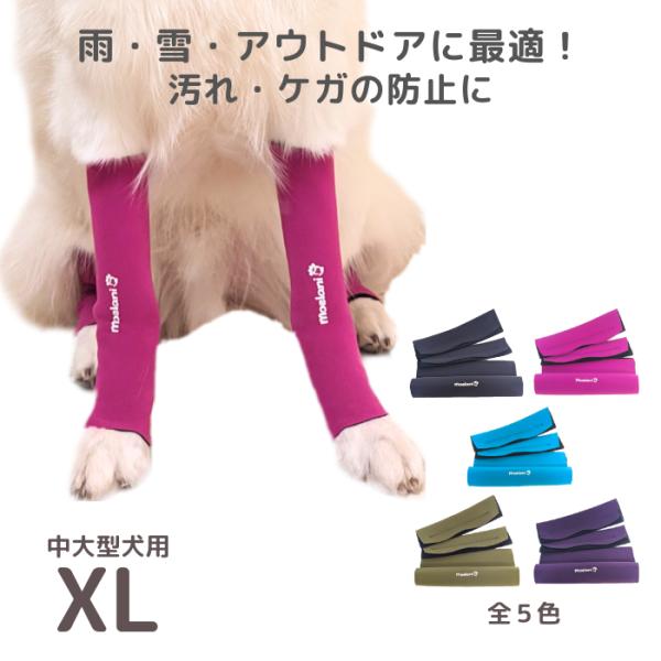 moelani XL Newパーフェクトドッグ レッグカバー 足の保護 傷口保護 舐め防止 汚れ防止...