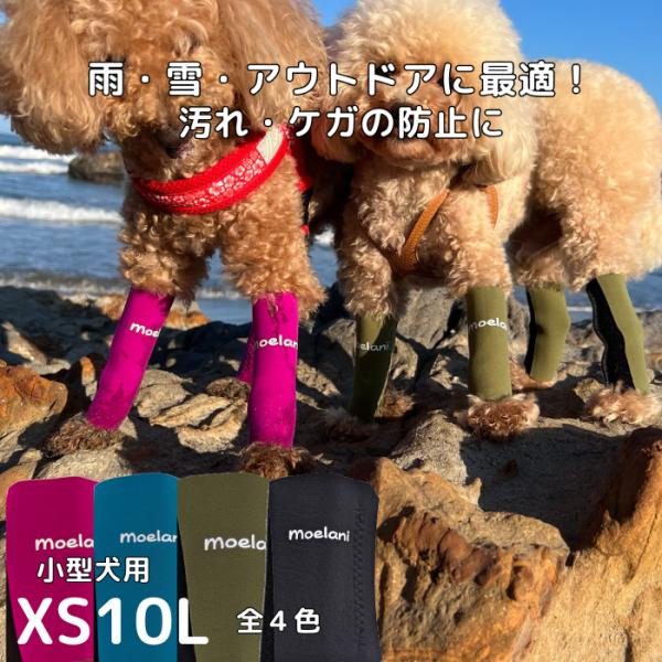 moelani XS10L Newパーフェクトドッグ レッグカバー 足の保護 傷口保護 舐め防止 汚...