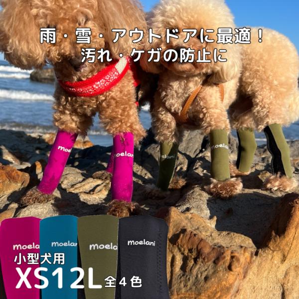 moelani XS12L Newパーフェクトドッグ レッグカバー 足の保護 傷口保護 舐め防止 汚...