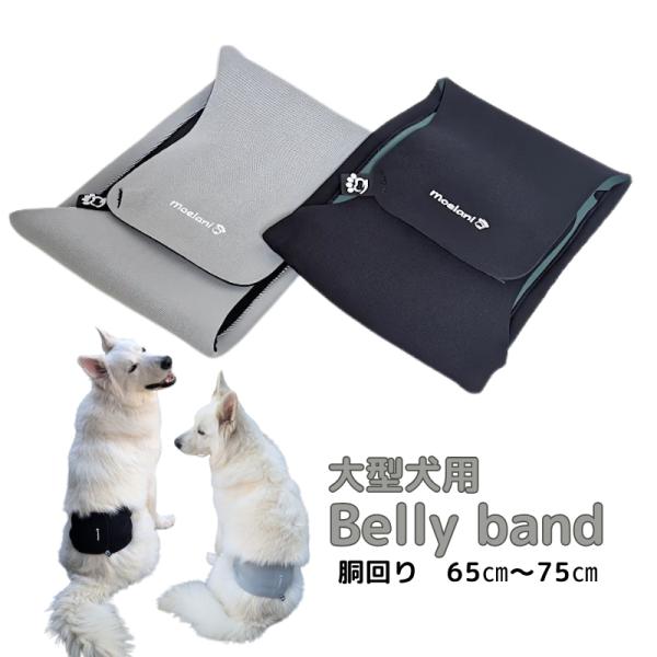 大型犬用 Belly band