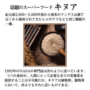 グルテンフリーキヌアクッキー 選べるメッセージ...の詳細画像2
