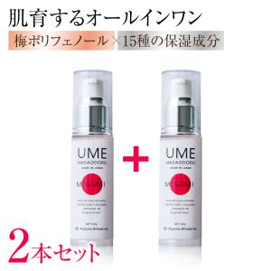 銀座ステファニー化粧品 ステファニー化粧品 PURE'D 100 PERFECTION
