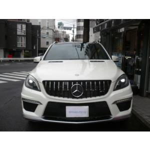 最高品質 H247 / GLAクラス 前期 AMG line車用 パナメリカーナ