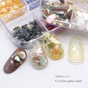 INITY アイニティ オリオンコレクションセット（10色） INS-OO