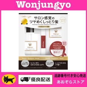 アネッサ パーフェクトUV ブラッシュオンパウダー レフィル 3g 本体