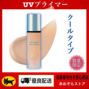 アネッサ パーフェクトUV ブラッシュオンパウダー 本体 ブラッシュオン
