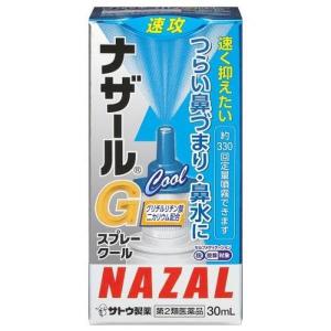 【第2類医薬品】佐藤製薬(株) ナザールGスプレ...の商品画像