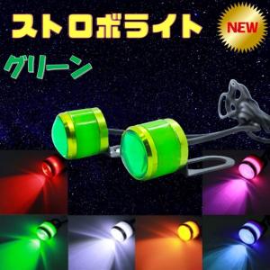 AUTOMAX izumi 蛍ランプ 2個1set LED ステー付き ホタルLED LED