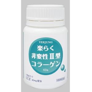 即納 非変性2型コラーゲン ブレーンコスモス 深潤EX 30粒 グルコサミン