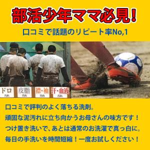 【送料無料】 バイオ濃厚洗剤 ポール(酵素配合...の詳細画像1