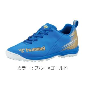 ヒュンメル(hummel）プリアモーレ VI TF ジュニア トレーニングシューズ (23ss) ブルー×ゴールド HJS2128-6037｜aozoraya-sp