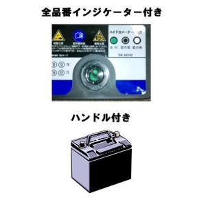 GSPEK 国産車用バッテリー インジケーター...の詳細画像1