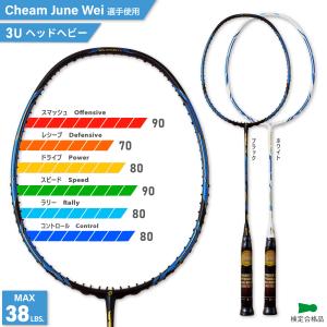 YONEX - ２本　3u 4u ナノレイ900 800 ヨネックス  バドミントン　ラケット YONEX ヨネックス バドミントンラケット ナノフレア 800 プロ