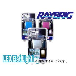 レイブリック/RAYBRIG 面発光ルームランプ RE51 12V 1.8W ホワイト 入り数：1個
