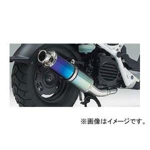 専用Realize スズキ アドレスV125S O2センサーBlink マフラー アドレス Realize アドレスV125S バイクマフラー EBJ-CF4MA O2