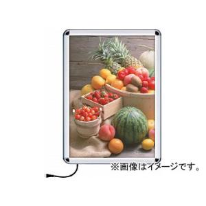シンエイ PGライトLEDルクスト屋外用44R型 A1サイズ シルバー PGLED-LUXT-44R...