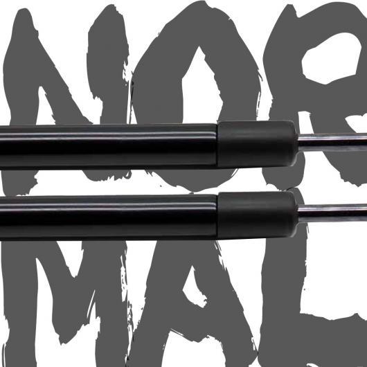 適用: 日産 スカイライン GT-R R33 1995-1998 フロント ボンネット フード ガス...