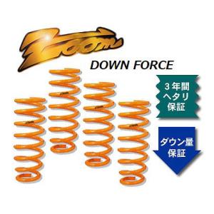 ズーム ダウンフォース ローダウンサスペンション ZNI075004SDF 入数：1台分 ニッサン プリメーラカミノ QP11 QG18DE 2WD 1800cc 1995年09月〜1999年05月