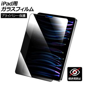 iPad用ガラスフィルム 覗き見防止 選べる15適用品 AP-MM0084