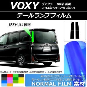 オートパーツエージェンシー テールランプフィルム グリッタータイプ