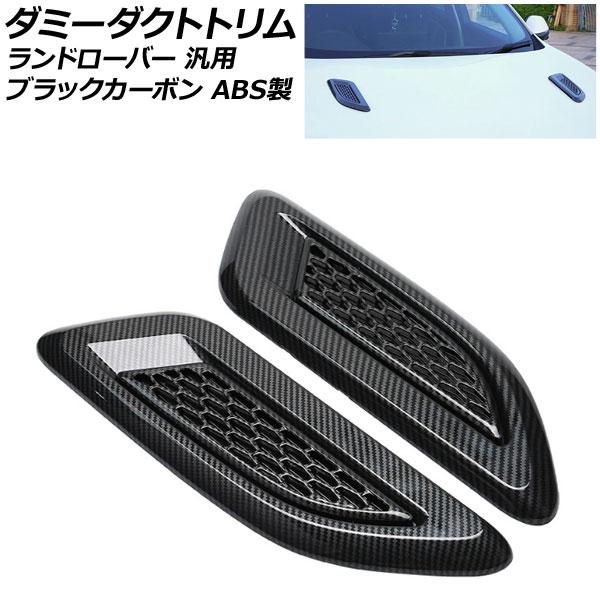 ダミーダクトトリム ブラックカーボン ABS製 ランドローバー 汎用 入数：1セット(2個) AP-...