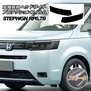 オートパーツエージェンシー プロテクションフィルム ヘッドライト