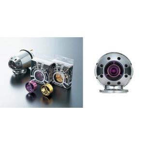 HKS スーパーSQVスペシャルフィン SF100-P パープルメタリック