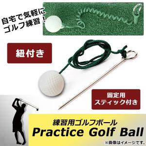 GravityFit Swing Kit スイングキット ゴルフ スイング 練習 器具 矯正