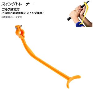 WINNER SPIRIT ウィナースピリット リアルスイング300 ゴルフスイング