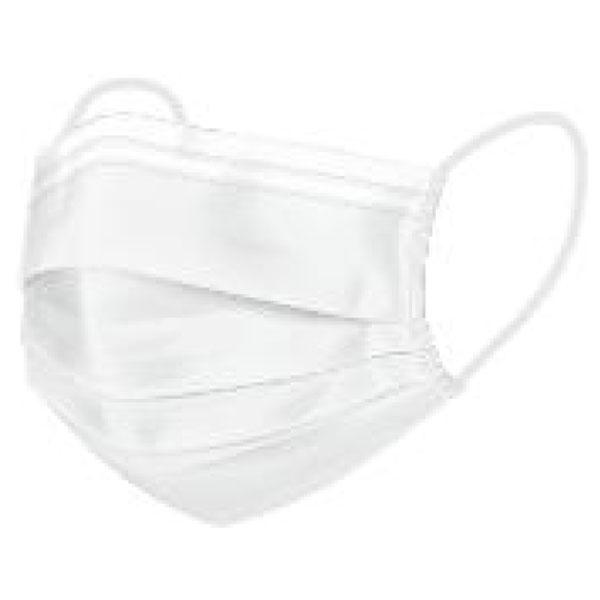 高性能フィルターマスク ホワイト 3層 不織布 大人用 耳にやさしい平ゴム使用 入数：1箱(50枚入...