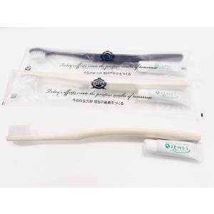 アパホテルオリジナル歯ブラシ10本セット(柄色:黒)の詳細画像1