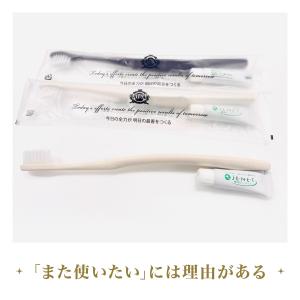 アパホテルオリジナル歯ブラシ50本入(柄色:黒)の詳細画像3