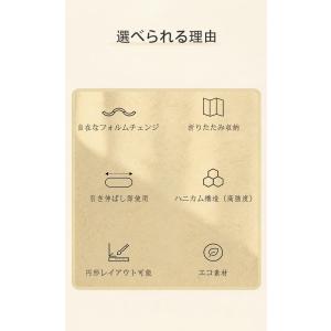 【HomeMIYN】価格13500円〜 ロング...の詳細画像2