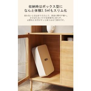 【HomeMIYN】価格13500円〜 ロング...の詳細画像3