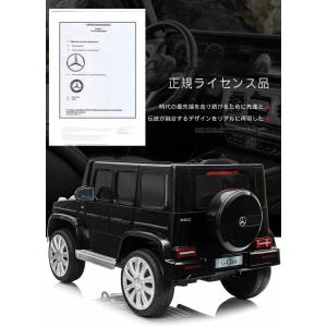 【ORYXEARTH】【デラックス】 即納 乗...の詳細画像3