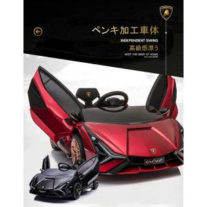 【☆超豪華】車体カバー付 電動乗用ラジコン ラ...の詳細画像3