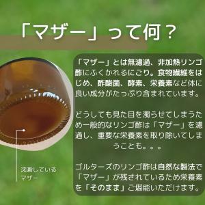 リンゴ酢 マヌカハニー入り 350ml 無濾過...の詳細画像5