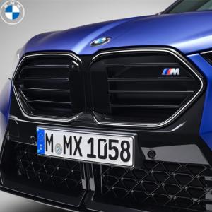 BMW純正 ブラック・キドニー・グリル (U10 X2 M35i)｜APdirect