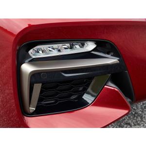 BMW 純正 G01 X3 前期 M40iX サイド グリル セット Cerium Grey