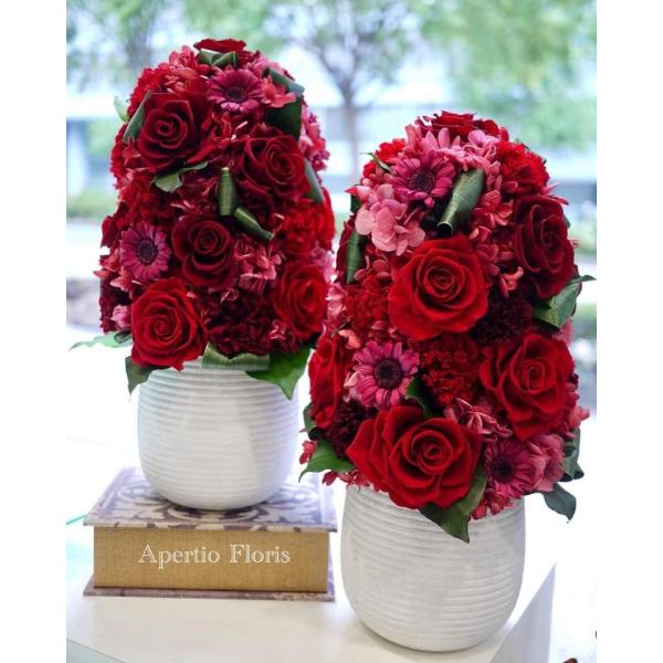 プリザーブドフラワー ドーム型赤★花 ギフト 誕生日 送別会 歓迎会 退職祝い 歓送迎会 送別 卒業...