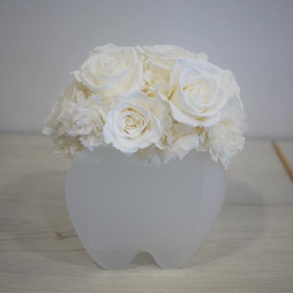 プリザーブドフラワー歯医者の歯アレンジ★花 ギフト 誕生日 送別会 歓迎会 退職祝い 歓送迎会 送別...