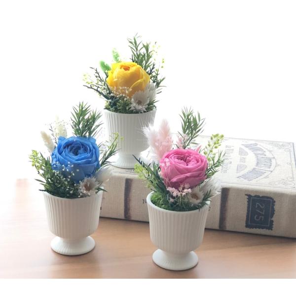 プリザーブドフラワー 一輪アレンジイエローエフェメラ 花 ギフト誕生日 送別 卒業 結婚 お祝い 記...