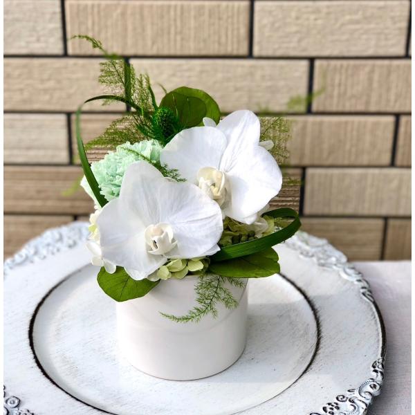 プリザーブドフラワー胡蝶蘭アレンジ★ギフト誕生日 送別 卒業 結婚 お祝い 記念日 プレゼント 母の...