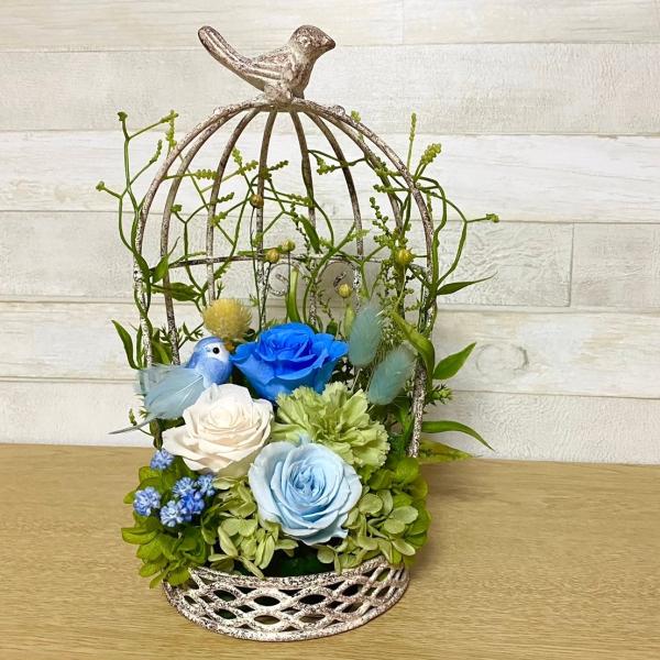 プリザーブドフラワーアーチ型鳥かご丸ブルー★花 ギフト 開店祝 誕生日 歓送迎会 送別 卒業 結婚 ...