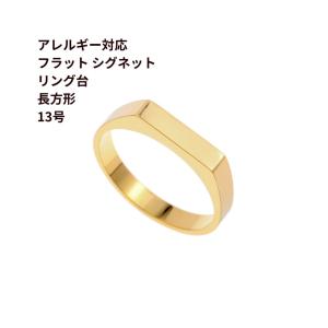 グルーデコ協会　リング土台11個セット 9号 11号 13号 15号 17号 5個］ フラット シグネット リング台 長方形 * 約13号サイズ ［ 銀