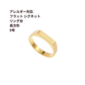 5個］ フラット シグネット リング台 長方形 * 約13号サイズ ［ 銀