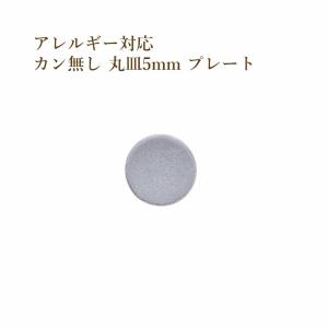 ［10個］ サージカル ステンレス カン無し 丸皿 プレート 5mm [ 銀 シルバー ]  O-04 チャーム 金具 メタル ラウンド パーツ アレルギー対応｜apfel