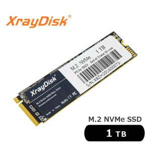 M.2 NVMe 512GB | 内蔵SSD 外付けSSD Xray Disk PCIe ノートブックPC用
